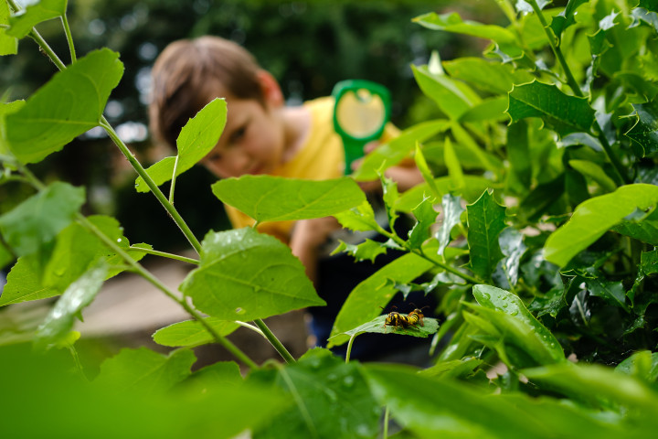 DSCF3926akkoordWvO-2526